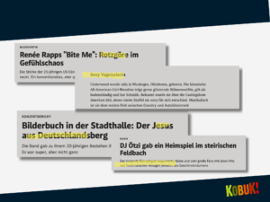 Eine Collage mit einigen Negativbeispielen in der Berichterstattung von Der Standard.